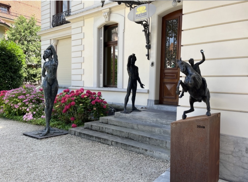 Exposition à la Galerie Plexus, Montreux, Suisse